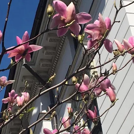 Atrium Ateneu Center 3*