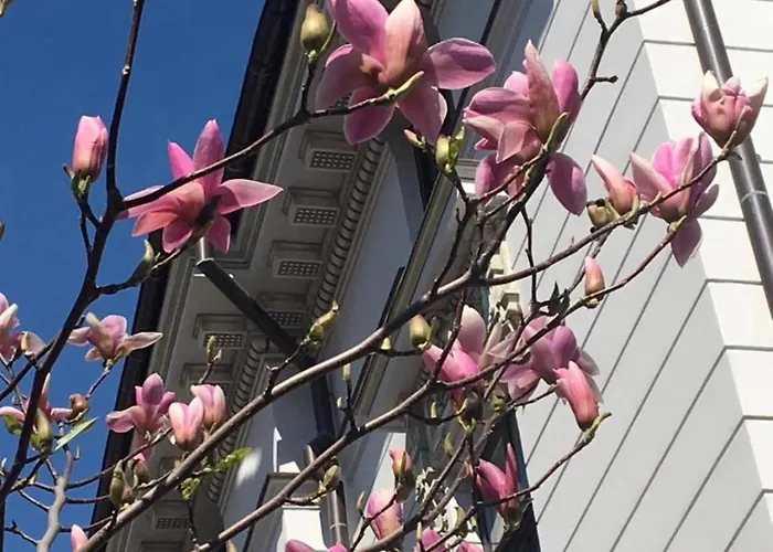 Atrium Ateneu Center 3*